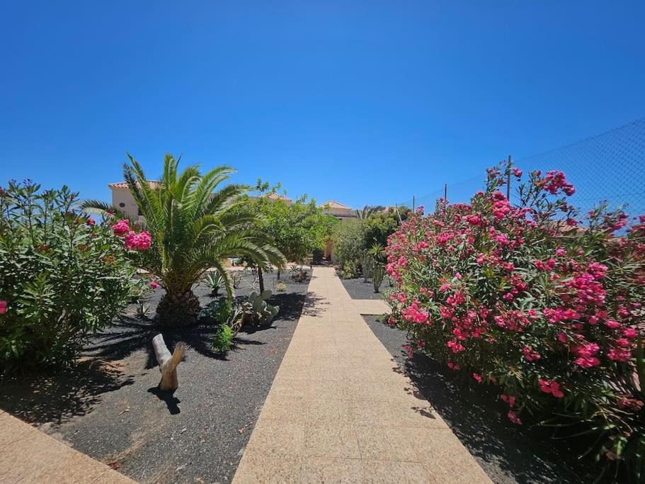 La Casita De Lomas Caleta De Fuste